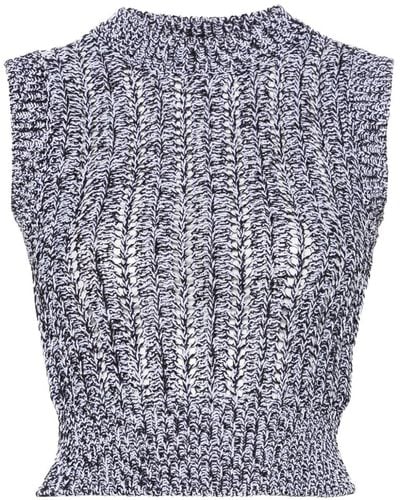 Peserico Sequined Cropped Knitted Top - Blue