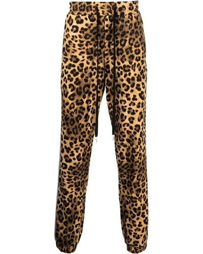 Haculla Pantalones de chándal con estampado de leopardo - Negro