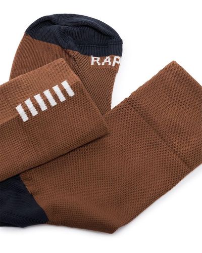 Rapha Pro Team 靴下 - ブラウン