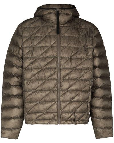 Holden Quilted Padded Jacket - Green
