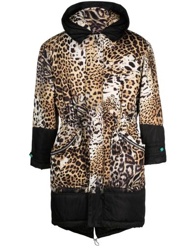 Roberto Cavalli Animal-print Padded Hooded Coat - Black