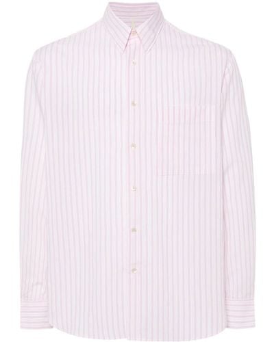 sunflower Ace Striped Shirt - Pink