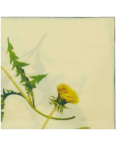 Burberry Dandelion-print Square Scarf - Yellow