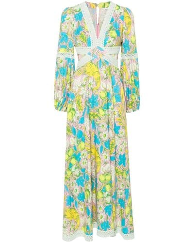 Diane von Furstenberg Lina Maxi-jurk Met Bloemenprint - Blauw