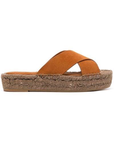 Paloma Barceló Norma Suede Sandals - Brown
