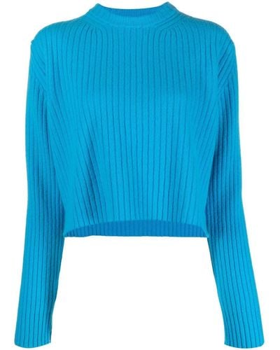 Laneus Ribbed-knit Jumper - Blue