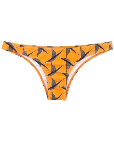 Lygia & Nanny Slip bikini Poipu con stampa - Arancione