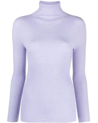 Fabiana Filippi Roll-neck Long-sleeve Sweater - Purple