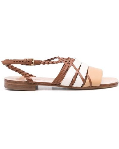 Alberta Ferretti Braided-strap Flat Sandals - ブラウン