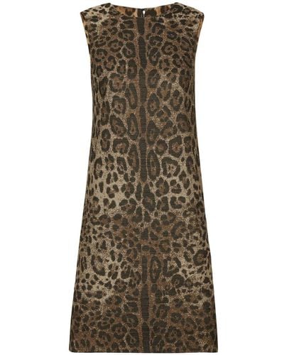 Dolce & Gabbana Leopard Print Wool Mini Dress - Brown