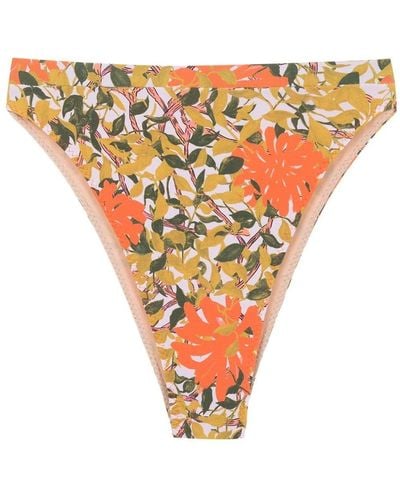 Clube Bossa Slip bikini a fiori - Arancione