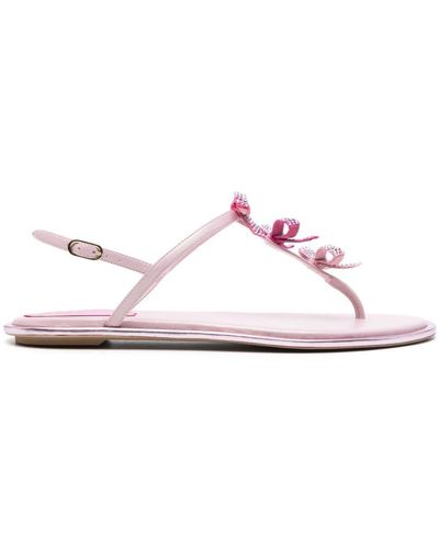 Rene Caovilla Sandalen Met Strikdetail - Roze