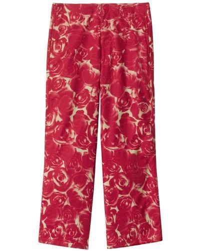 Burberry Rose-print Cotton Trousers - Red