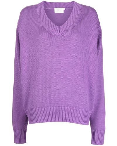 Bassike V-neck Knit Sweater - Purple