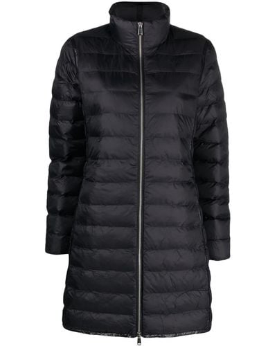 Polo Ralph Lauren Polo Pony-embroidered Padded Coat - Black