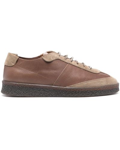 Buttero Crespo Leren Sneakers - Bruin