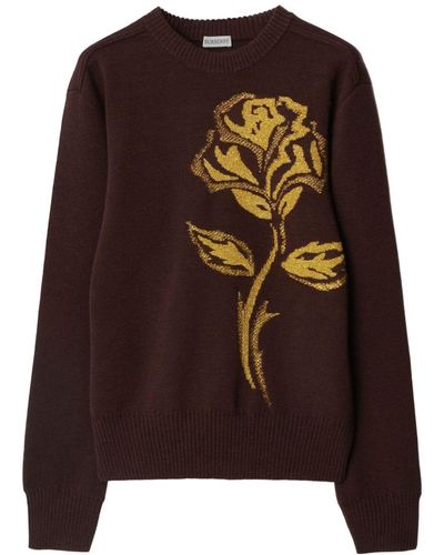 Burberry Rose Intarsia-knit Jumper - Brown
