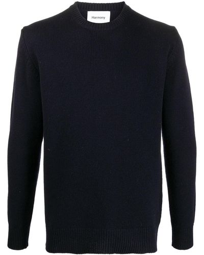 Harmony Wulf Crewneck Wool Sweater - Blue