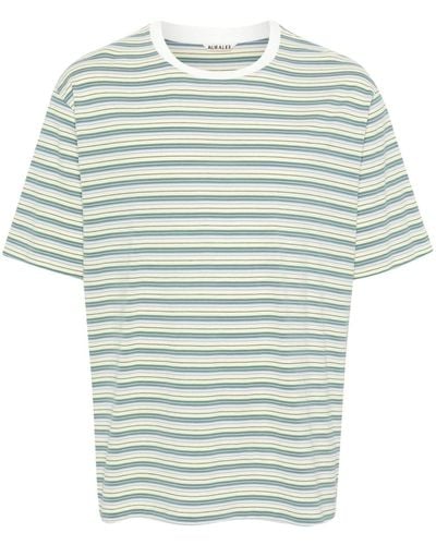 AURALEE Striped Cotton T-shirt - Blue