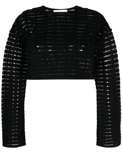 Genny Sheer Long-sleeve Cropped Top - Black