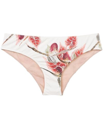 Clube Bossa Leaf-print Bikini-bottoms - Pink