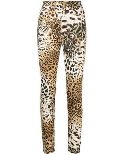 Roberto Cavalli Leopard-print Tapered-leg Pants - Natural