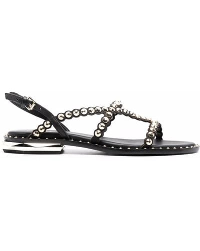 Ash Paolo Studded Leather Sandals - Black
