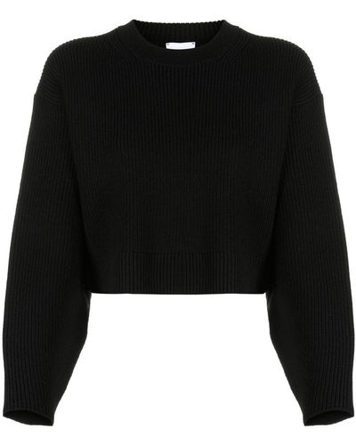 Patou Cropped Rib Knit Sweater - Black