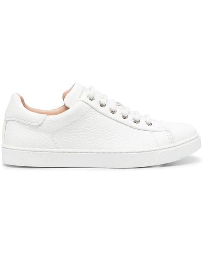 Gianvito Rossi Lace-up Leather Sneakers - White
