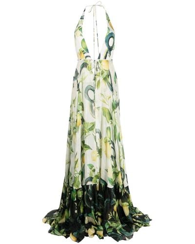 Roberto Cavalli Seidenkleid mit Blumen-Print - Grün