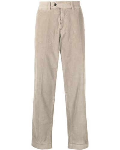 Mackintosh Pantalon chino en velours côtelé - Neutre