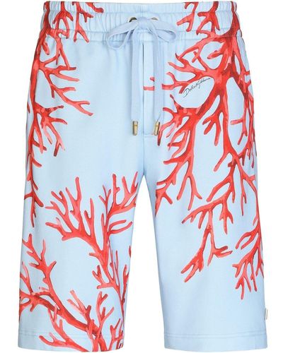 Dolce & Gabbana Coral-print Cotton Bermuda Shorts - Blue