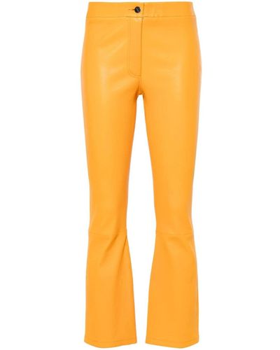 Arma Lively Flared-leg Pants - Orange