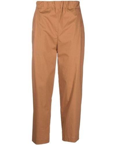 Laneus Stretch-cotton Tapered Trousers - Brown