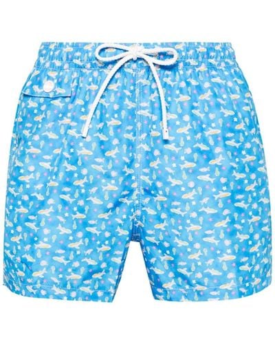 Kiton Sea Life-print Swim Shorts - Blue