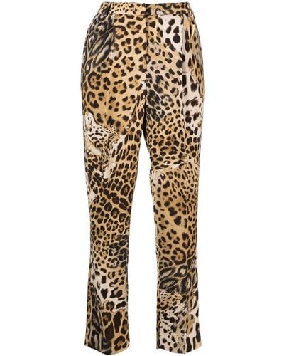 Roberto Cavalli Leopard-print Cropped Trousers - Natural