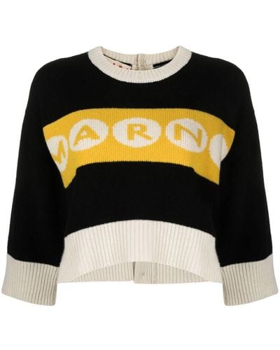 Marni Logo-intarsia Cropped Sweater - Black