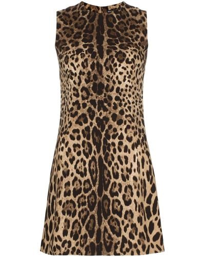 Dolce & Gabbana Vestido corto con motivo de leopardo - Marrón