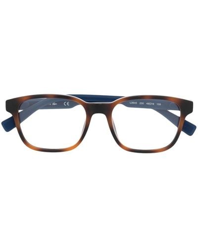 Lacoste スクエア眼鏡フレーム - ブルー