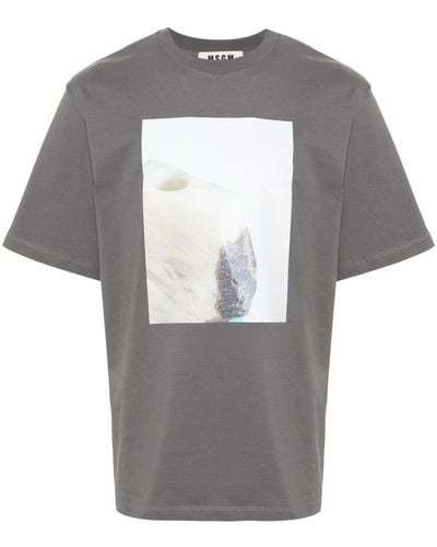 MSGM T-shirt con stampa fotografica x Duccio Maria Gambi - Grigio