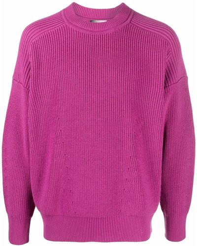 Isabel Marant Sweater Met Ronde Hals - Roze