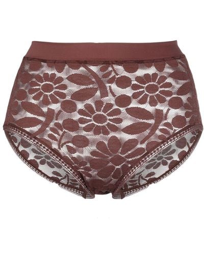 Eres Floral-lace Embroidered High-waisted Briefs - Brown