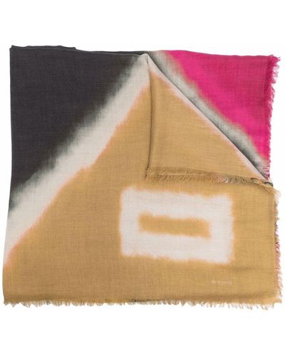 Etro Sjaal Met Colourblocking - Meerkleurig