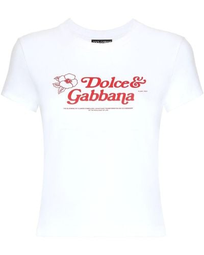 Dolce & Gabbana Tops > t-shirts - Blanc
