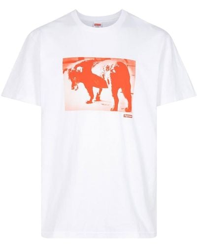 Supreme Camiseta Daido Moriyama Dog - Blanco