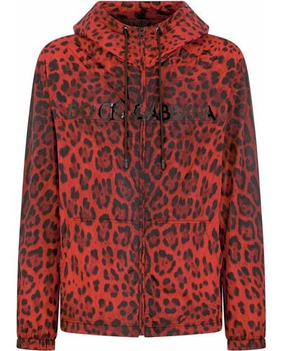 Dolce & Gabbana Chaqueta con motivo de leopardo y capucha - Rojo