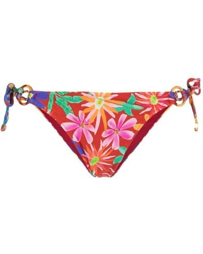 PATBO Bragas de bikini Aster con estampado floral - Rosa