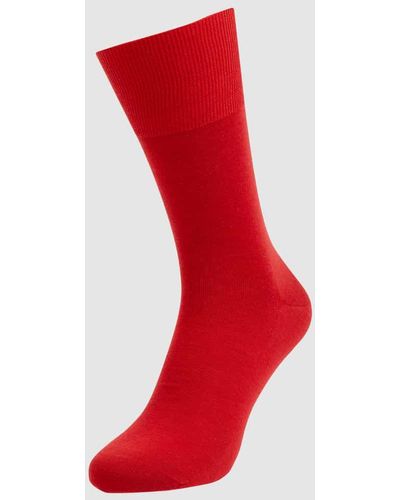 FALKE Socken und Einstecktuch im Set Modell 'Airport' - Rot
