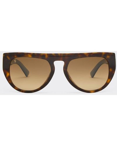 Ferrari Sunglasses In Tortoiseshell Acetate With Polarized Lenses - Multicolor