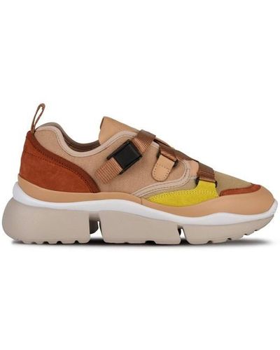 Chloé Sonnie Low Top Trainers - Brown